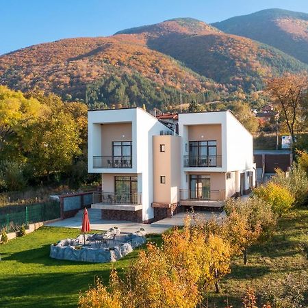 Къща За Гости Давиос Sapareva Banya Esterno foto